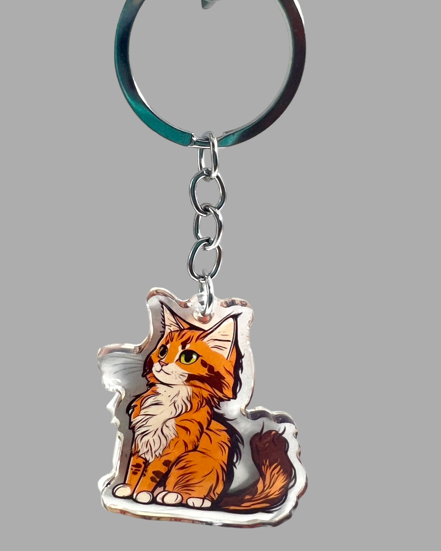 Maine Coon Cat Acrylic Keychain, Cute kawaii memorial ornament, pet portrait charm gift  backpack fob, dad car décor, first day of school gift