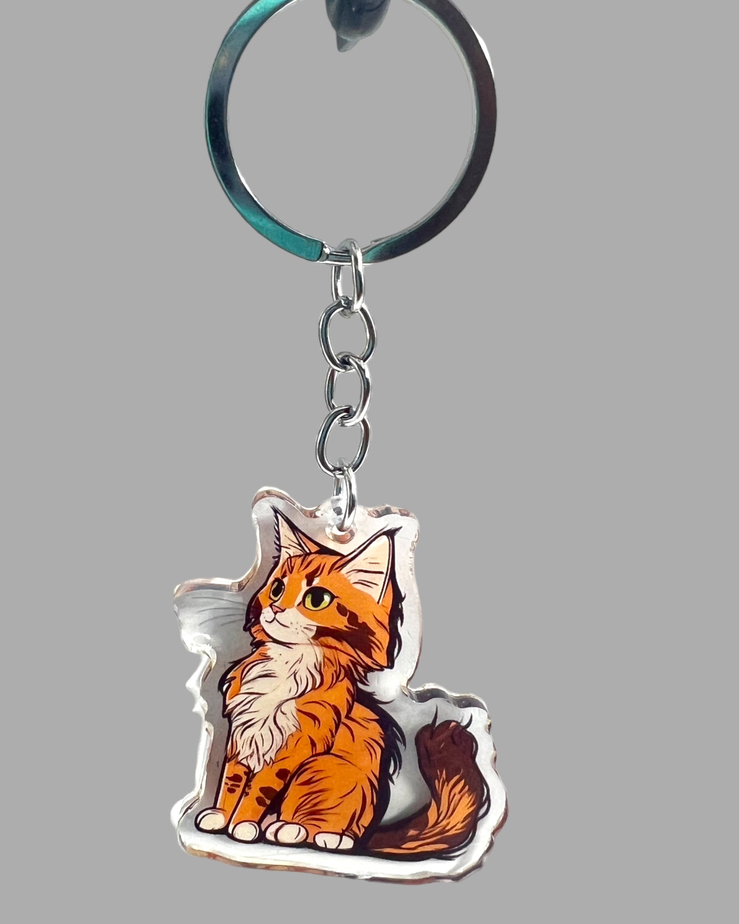 Maine Coon Cat Acrylic Keychain, Cute kawaii memorial ornament, pet portrait charm gift  backpack fob, dad car décor, first day of school gift