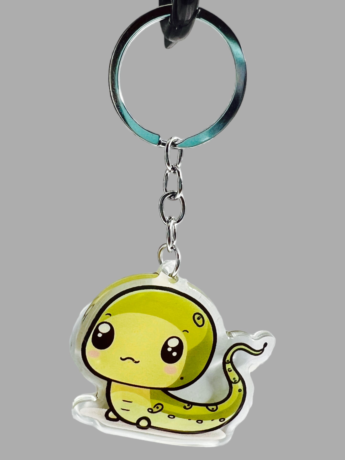 Salamander Acrylic Keychain, Wildlife Cute kawaii memorial ornament, pet portrait charm, backpack fob, dad car décor, stocking stuffer, birthday gift