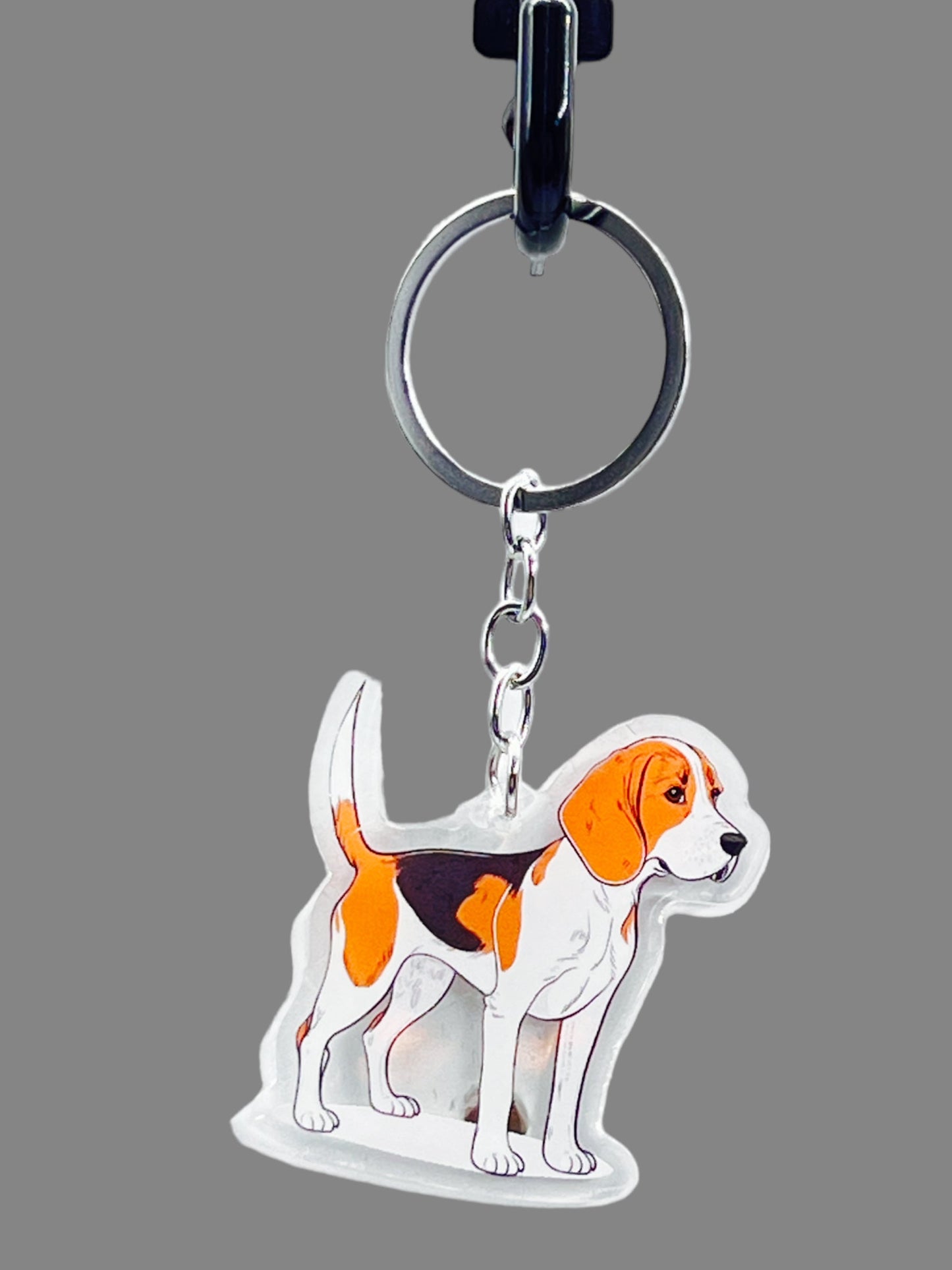 Beagle Dog Acrylic keychain Cute kawaii memorial ornament, pet portrait charm gift  backpack photo fob, dad car décor, first day of school